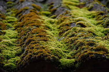 Similar image 21336505