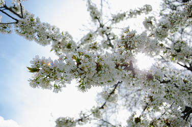 Similar image 21336508