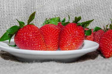 Similar image 21336518