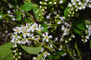 Similar image 21336531