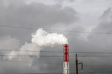 Similar image 21336533