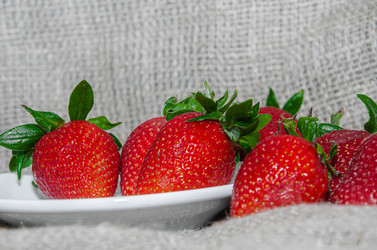 Similar image 21336534