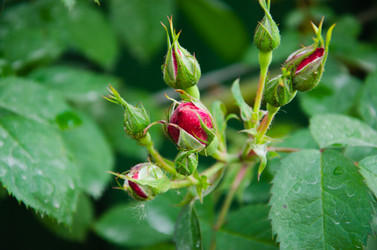 Similar image 21336535