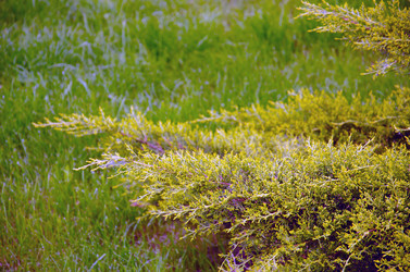 Similar image 21336541