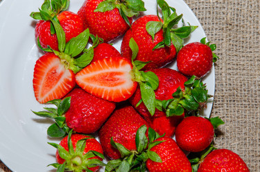 Similar image 21336554