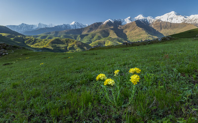 Similar image 21335327