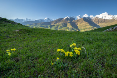 Similar image 21335330