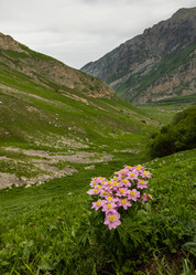 Similar image 21335346