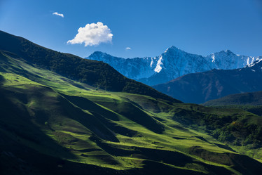 Similar image 21335347