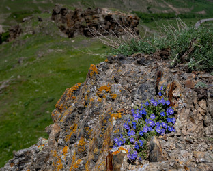 Similar image 21335348