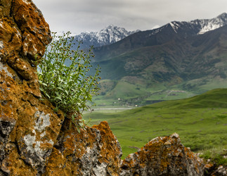 Similar image 21335384