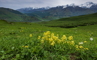 Similar image 21335390