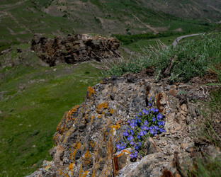 Similar image 21335394