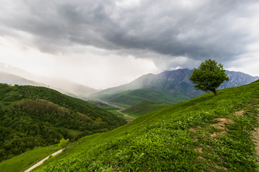 Similar image 21335404