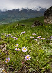 Similar image 21335405