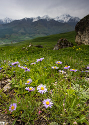 Similar image 21335407