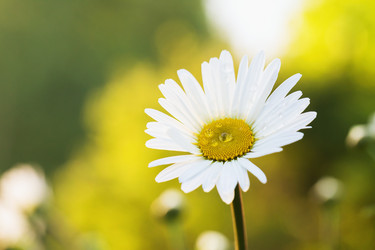 Similar image 21326020