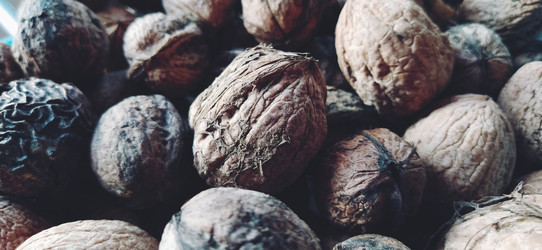 Similar image 21343168