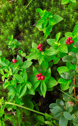 Similar image 21329066