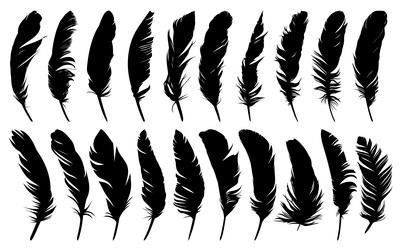 Similar image 21326320