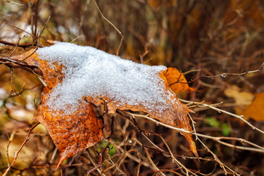 Similar image 21341031