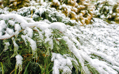 Similar image 21341032