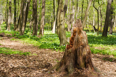 Similar image 21341033