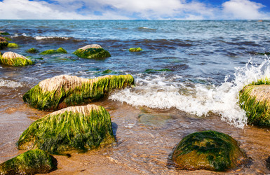 Similar image 21341035