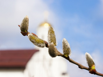 Similar image 21341046