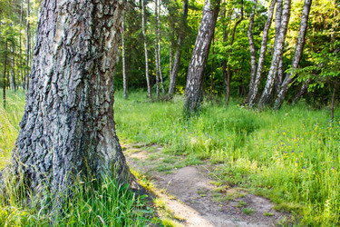 Similar image 21341055