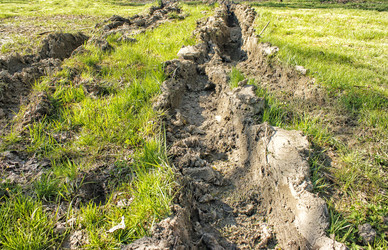 Similar image 21341067