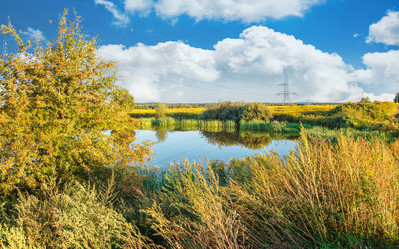 Similar image 21341069