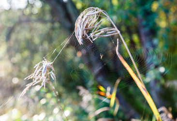 Similar image 21341083