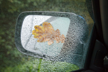 Similar image 21341086