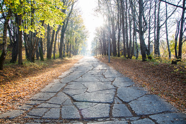 Similar image 21341087