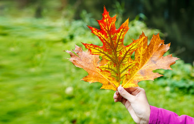 Similar image 21341104