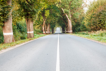 Similar image 21341112