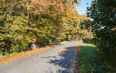 Similar image 21337170