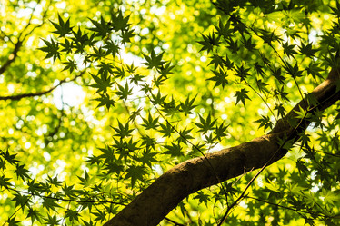 Similar image 21326089