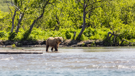 Similar image 21326099