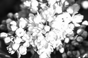 Similar image 21326109