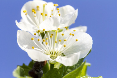 Similar image 21326110