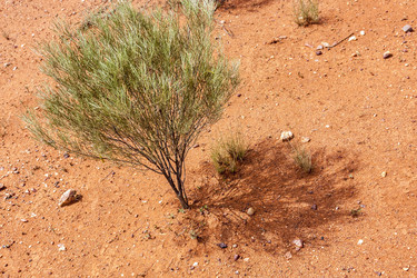 Similar image 21326112