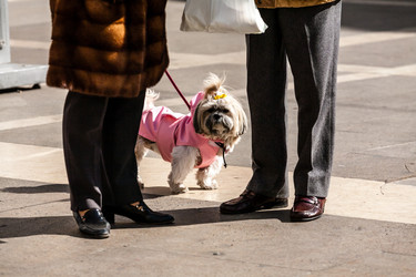 Similar image 21326121