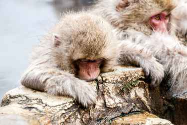 Similar image 21326125