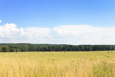 Similar image 21331967