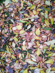 Similar image 21336188