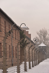 Similar image 21327056