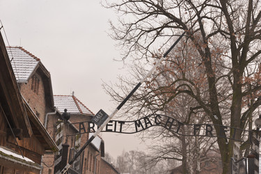 Similar image 21327058