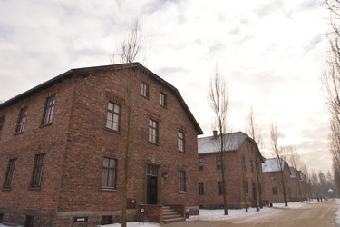 Similar image 21327062